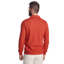 Sueter-Masculino-Tricot-Convicto